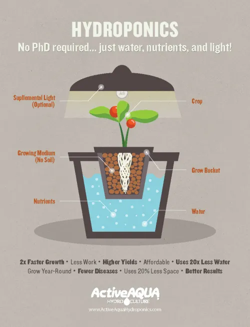 Active Aqua Hydro Culture - Hydroponics